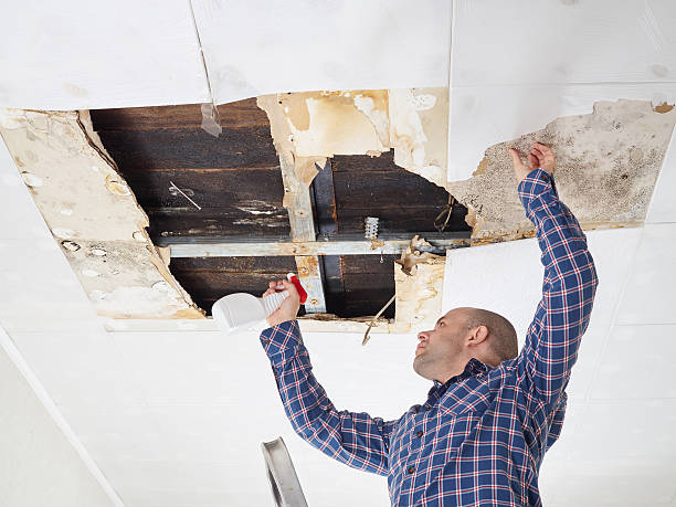 Best Residential Mold Inspection & Testing  in Mountain Home, AR